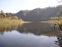 Vltava 7-pod Vraným nad Vltavou 16.4.07.jpg